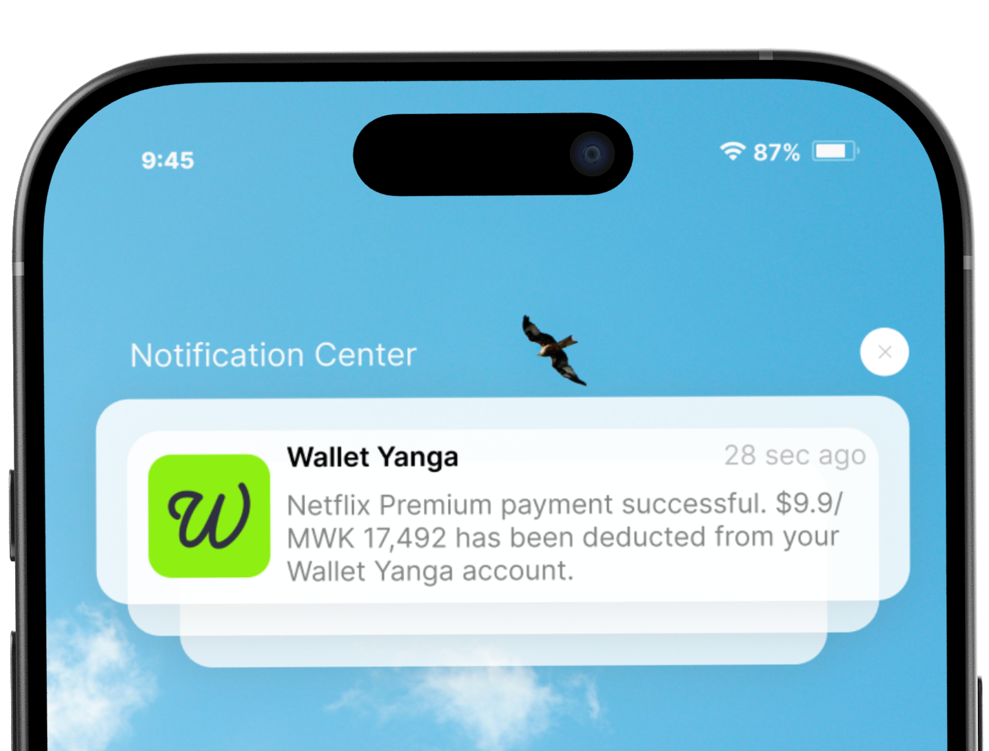 Wallet Yanga home screen preview